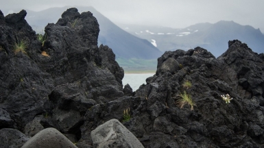 Фото из архива Клуба