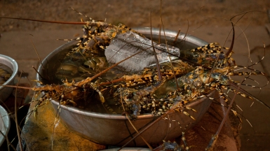 Фото: Eric Borda, visualhunt.com