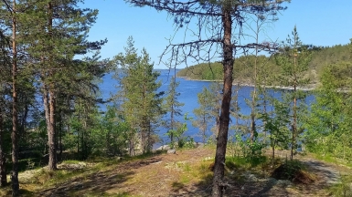 Фото нашего гида Алексея Петровского