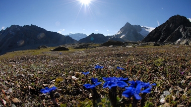 Автор: Julius_Silver. Источник: pixabay.com