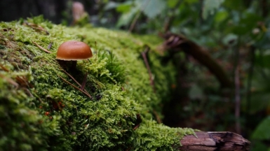 Фото нашего гида Сергея Кузуры