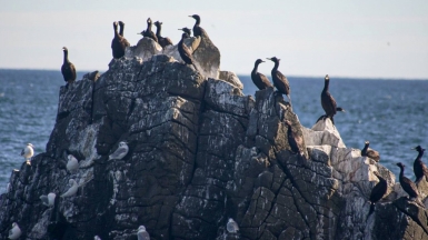 Фото наших Странников