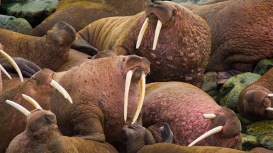 Фото из архива Клуба