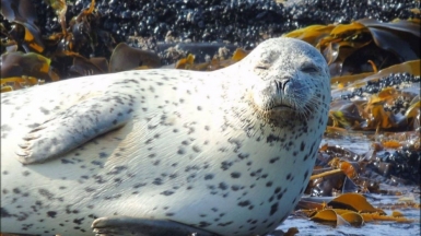 Фото наших Странников