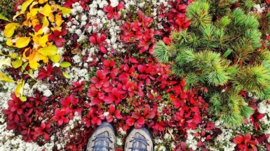 Фото нашего гида Евгении Скопиной