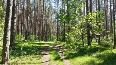 Фото нашего гида Михаила Зачёскина