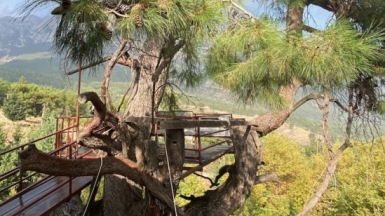 Фото нашего гида Артёма Тарабукина