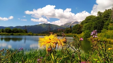 Фото нашего гида Елены Кузура