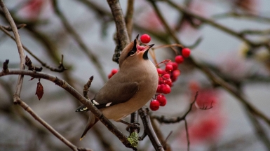 Фото: lumiegor on Visualhunt