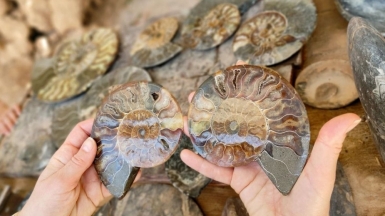 Фото нашего гида Натальи Кислушко