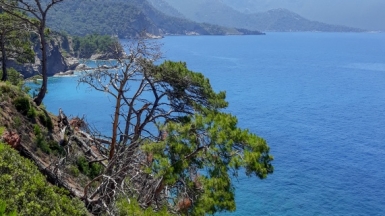 Фото нашего гида Марины Чудновской