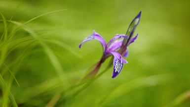 Фото нашей Странницы Светланы Соколовой