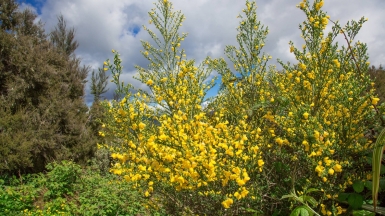 Фото нашей Странницы Татьяны Руновой