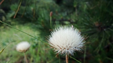 Фото из архива Клуба