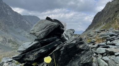 Фото наших Странников