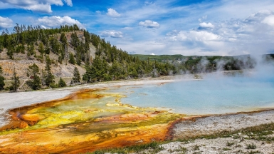 Фото: Jeffrey Hamilton, unsplash.com