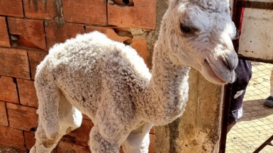 Фото нашего Странника Антона Воронова