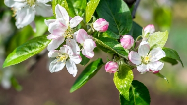 Фото нашего Странника Дмитрия Кочерыгина