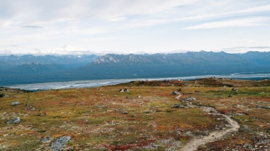 Фото: William VanBuskirk, unsplash.com