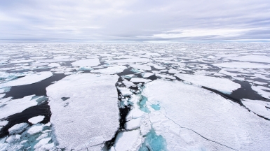 Фото: Christopher.Michel. Источник: visualhunt.com