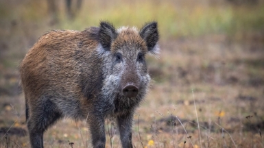 Фото гида Михаила Верёвченко