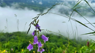 Фото наших Странников