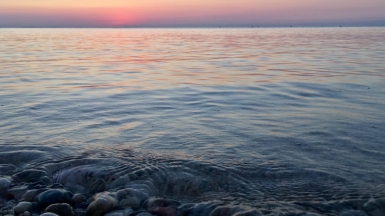 Фото: Daria Gudoshnikova, unsplash.com