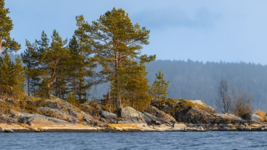 Фото: Dmitry Grachyov, unsplash.com