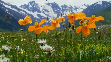 Фото нашего гида Геннадия Скосырева