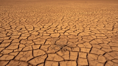 Фото нашего гида Михаила Верёвченко