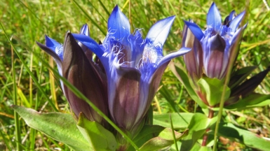 Фото: Ilya Schurov, visualhunt.com