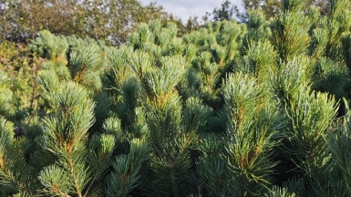 Фото наших туристов