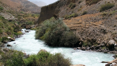 Фото из архива