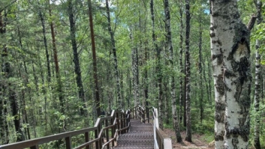 Фото нашей Странницы Ольги Сафоновой