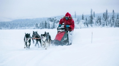 Фото Елены Мачтиной