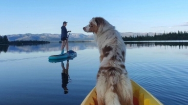 Фото Кирилла Вшивцева