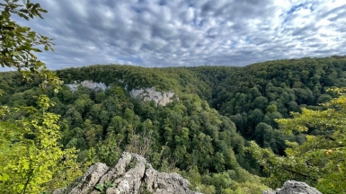Фото нашего гида Елены Кузура