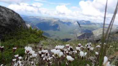 Фото нашей Странница Веры Елькиной