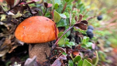 Фото наших Странников