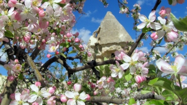 Фото нашего гида Ирины Пряничниковой