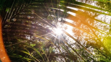 Фото: Tabea Schimpf, unsplash.com