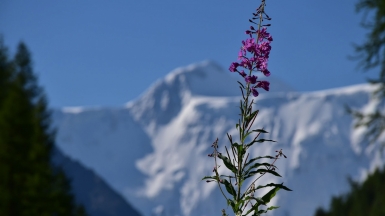 Фото нашего Странника Дмитрия Сторожева