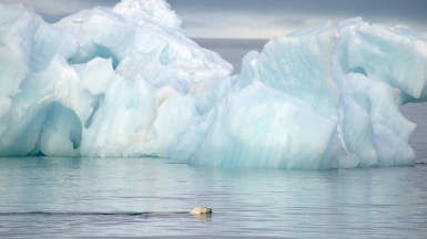 Фото: Rob Oo, visualHunt.com