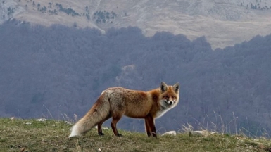 Фото нашей Странницы Аси Моисеевой