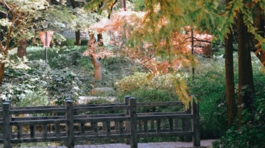 Фото: 
Danie LIU, unsplash.com