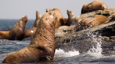 Фото: Rylee Isitt, visualhunt.com