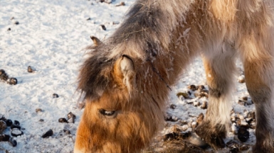 Фото: Антон Г. www.uniq.photo