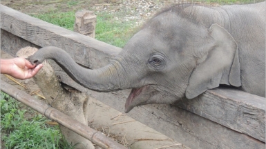 Фото из архива Клуба