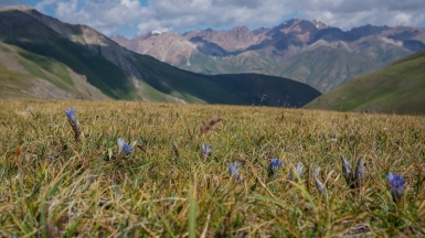 Фото нашей Странницы Марины Шумаковой