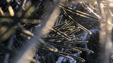 Фото наших Странников